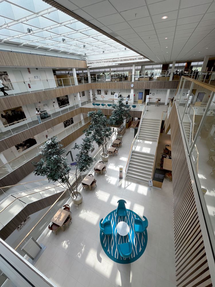 Der Blick in das Atrium des Trainingscenters. Dort befinden sich im 