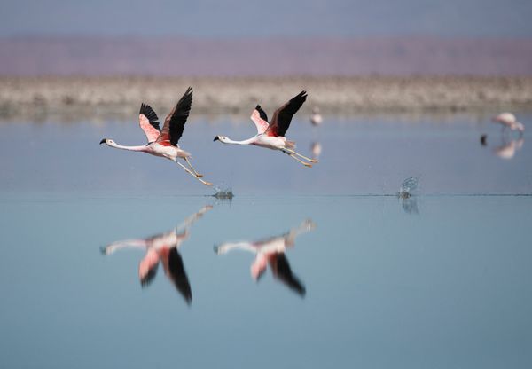 Foto: REUTERS/Stringer