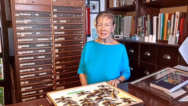 Die-letzten-ihrer-Art-Frau-Winkler-und-das-Wiener-Nachtpfauenauge