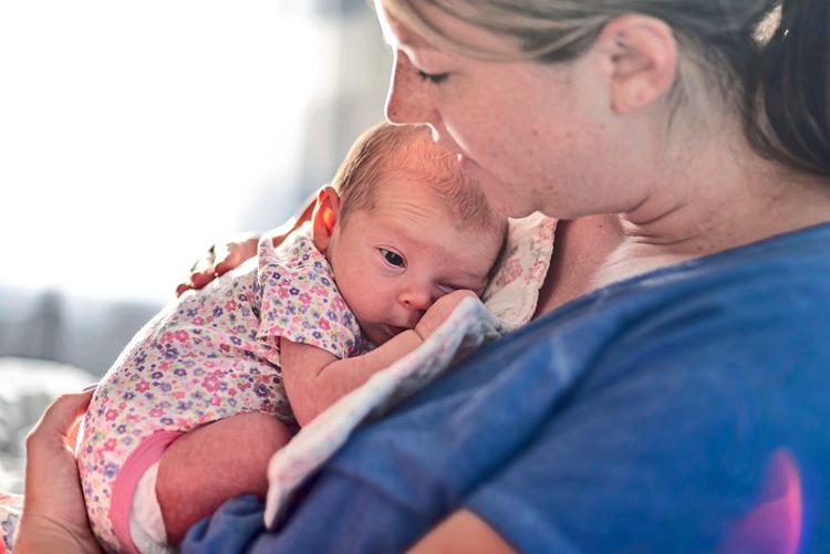Genetisch belastete Samenspenden: Wie gro ist das Risiko bei knstlicher  Befruchtung? - Kinder & Jugendliche - derStandard.at  Gesundheit