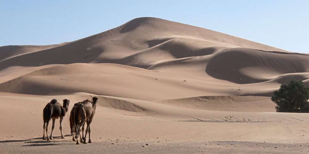 Rätsel um marokkanische Riesendüne gelöst