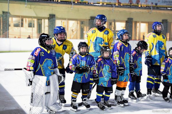 Die-M-dlinger-Eisarena-ist-nur-ein-Beispiel-f-r-das-gro-e-Sportst-ttensterben