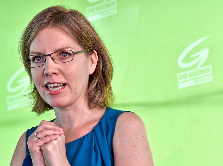 Weniger Quereinsteiger bei der Nationalratswahl Österreich