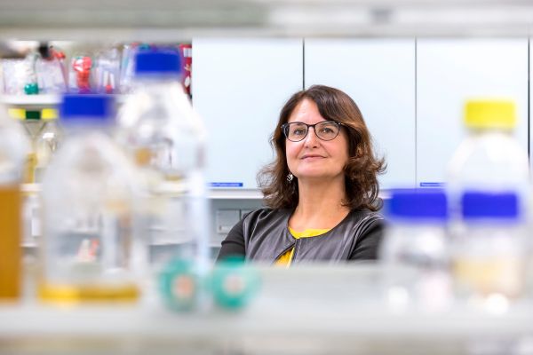 Biologin-Krankheitsgefahr-durch-Mikroben-ist-dr-ngender-als-der-Klimawandel-