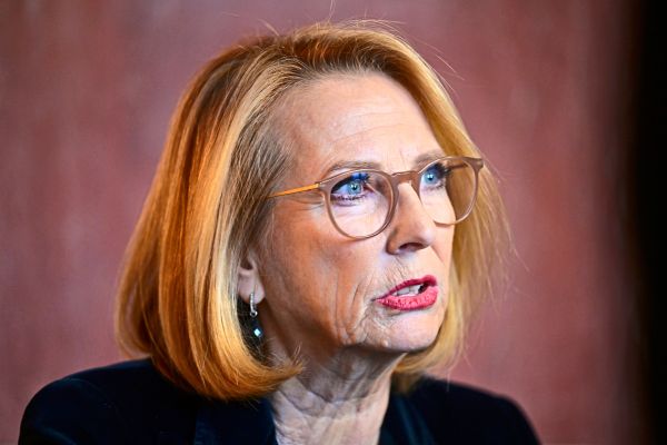 Bures-stellt-sich-hinter-Pensionsl-sung-und-Babler-deutliche-Kritik-aus-Bundesl-ndern