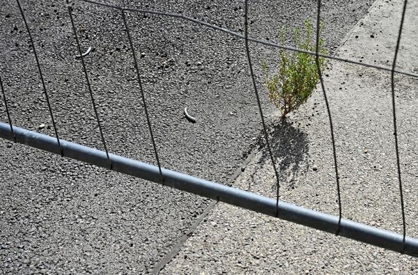 Wir-wollen-Natur-und-gie-en-weiter-Beton