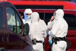 Von Mensch zu Mensch übertragbar: WHO bestätigt acht Infektionen mit Andesstamm von Hantavirus