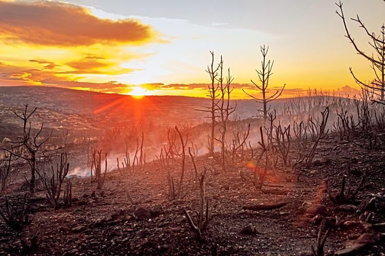 Waldbrand, Spanien, Trockenheit