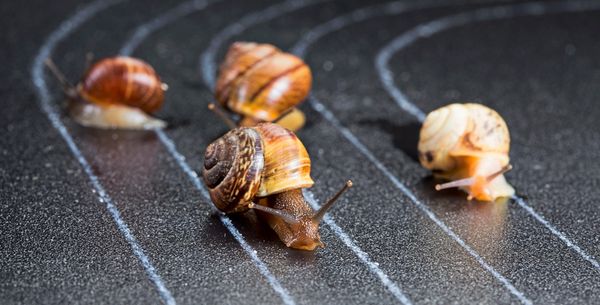 Der-Hype-um-Zone-2-Warum-es-gesund-ist-weniger-intensiv-zu-trainieren