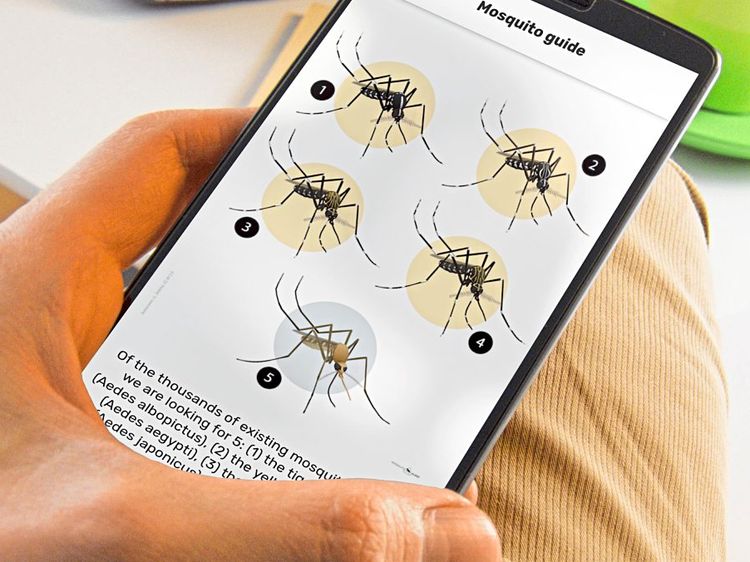 Handy-App Mosquito Alert