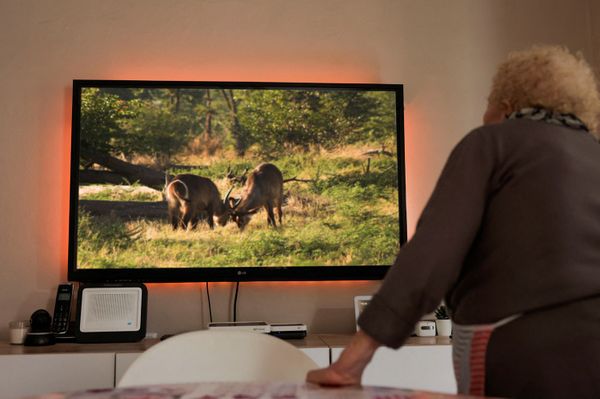 wer-naturdokus-schaut-ist-schmerzbefreiter