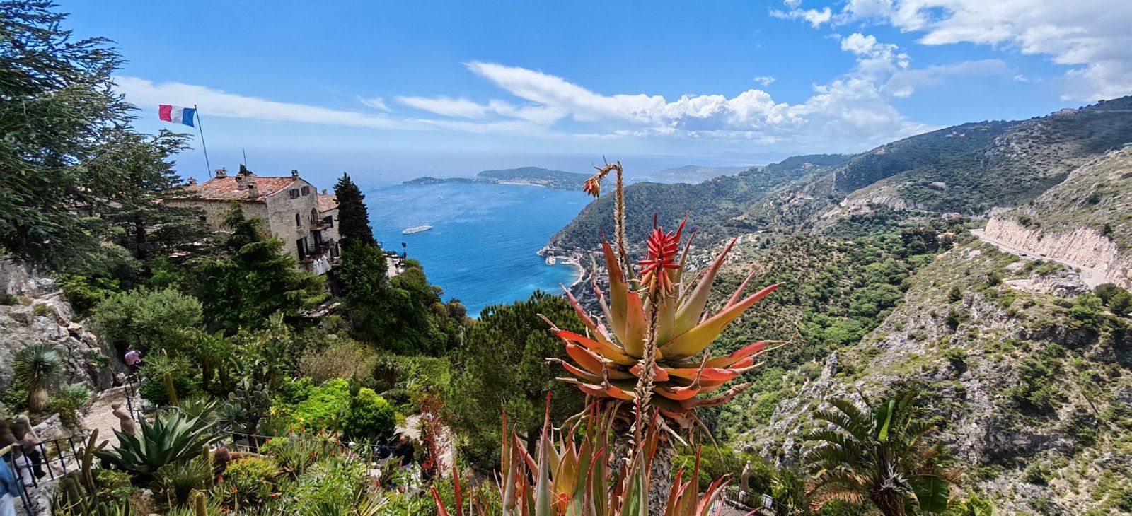 Das Foto zeigt das Panorama einer hügeligen Küste von einem erhöhten Punkt aus gesehen. Im Hintergrund das Meer, im Vordergrund eine exotische Blume.