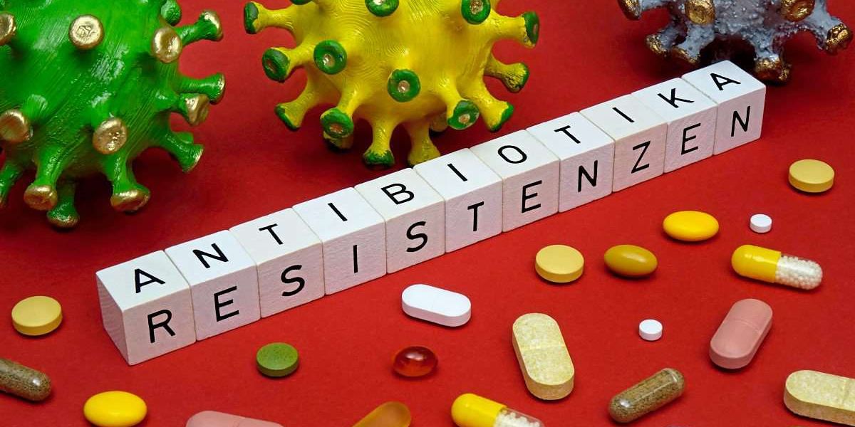 Antibiotika Alle 12 Stunden Einmal Vergessen Quiz über Antibiotika und Antibiotikaresistenzen - Blogs - derStandard