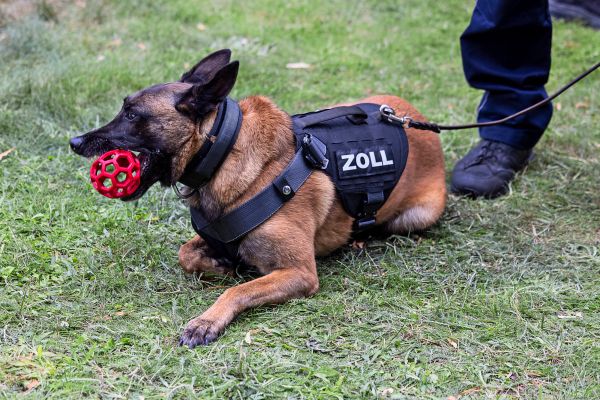 Deutschland-Finanzministerium-kauft-17-000-Smartphones-kann-sie-aber-nicht-verwenden