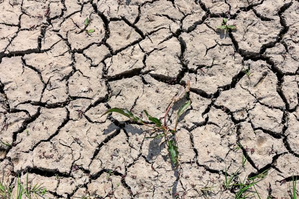Heute-k-rzen-morgen-zahlen-Studie-warnt-davor-im-Klimaschutz-den-Rotstift-anzusetzen