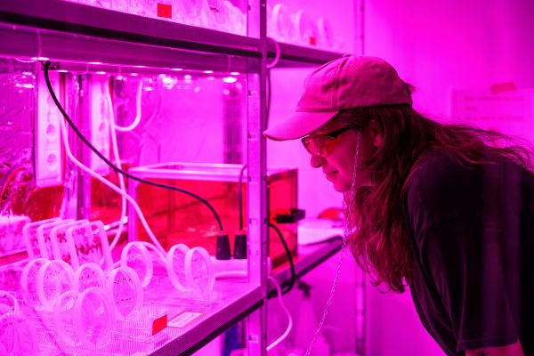 Am-neuen-Vista-Science-Experience-Center-wird-Spitzenforschung-erlebbar-gemacht