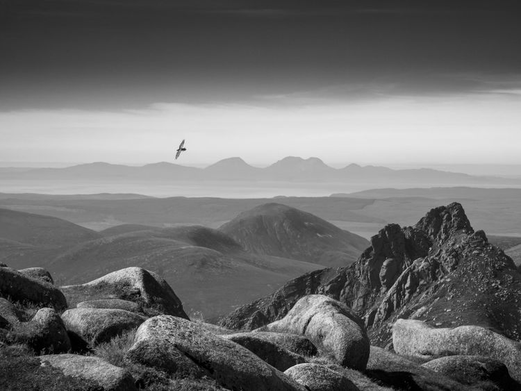 Dies ist eine Aufnahme vom Gipfel des Goatfell auf der Isle of Arran (Schottland), dem höchsten Berg der Insel. Bis auf den Fotografen, Robin Dodd, hielten sich dort nur zwei Raben auf. Einen davon hat Dodd fotografiert. Und darf sich jetzt Sieger in der Kategorie 