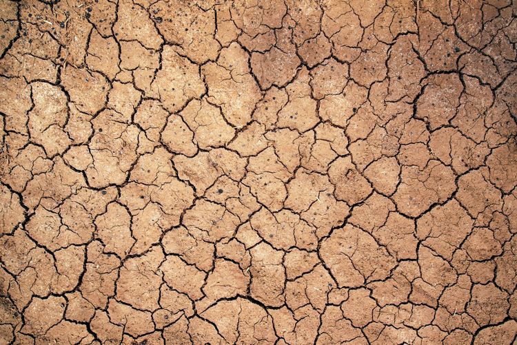 Rissige, trockene Erde mit sichtbaren Schlammrissen, die auf eine Dürreperiode oder Trockenheit hinweist.