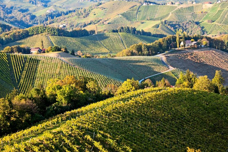 Was verbinden Sie mit dem Weinviertel?