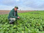 What will remain of the Marchfeld vegetables when Ardo leaves?