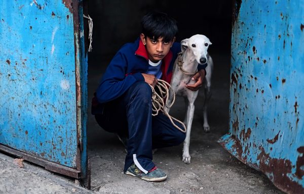 This-Human-World-Vom-Aufwachsen-in-einer-bedrohlichen-Welt