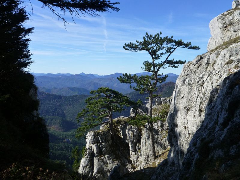Wandern Dickes Lob für die Dürre Wand! Urlaub in Niederösterreich