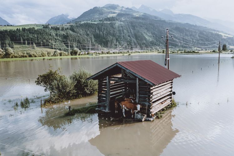Hochwasser: Was tun, wenn die Flut kommt? - Zukunft -  ›  Wissen und Gesellschaft