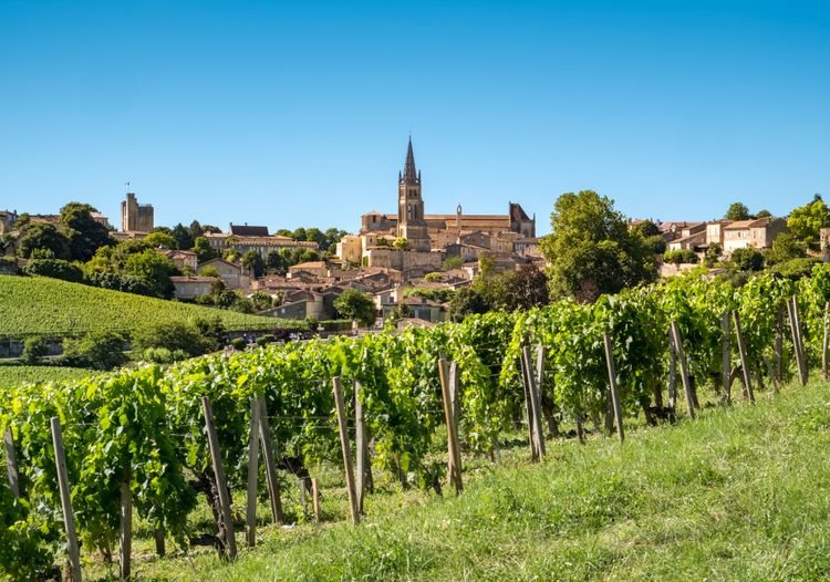 Weingärten in Nähe der Stadt Saint-Emilion, Frankreich.
