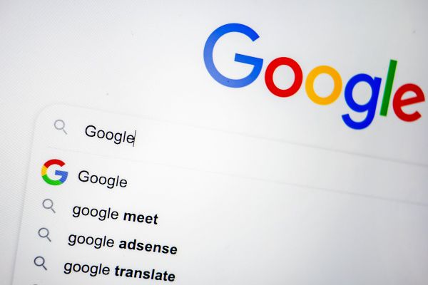 Amoklauf-Tesla-und-Elch-Emil-Diese-Suchanfragen-bewegten-sterreich-2025