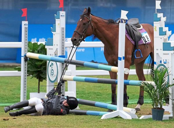 Den-Pferdesport-bei-Olympischen-Spielen-streichen-Ein-Pro-und-Kontra
