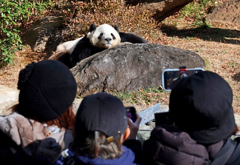 Die erste Panda-lose Situation in Japan seit einem halben Jahrhundert