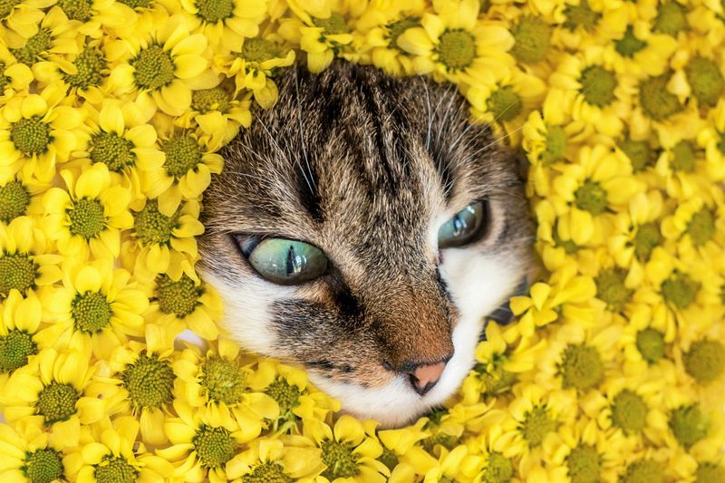 Das Pfingstwochenende wird frühsommerlich