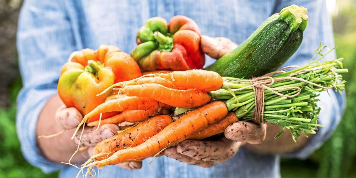 Why 30 different plants a week are so good for the intestines