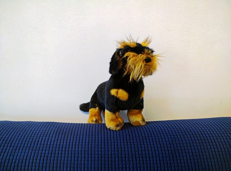 Ein Stofftier, das wie ein kleiner Hund aussieht, steht auf einer blauen, gerippten Oberfläche. Der Hund hat schwarzes Fell mit braunen Akzenten und strubbelige, lange Haare im Gesicht. Der Hintergrund ist eine cremefarbene Wand.