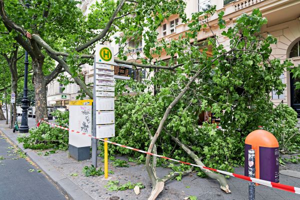 Tote-und-Verletzte-bei-Sturm-in-Berlin