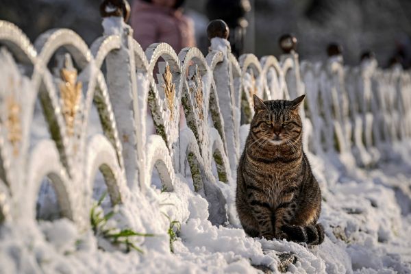 Schneefallgrenze-sinkt-deutlich-Der-Fr-hling-macht-kurz-Pause