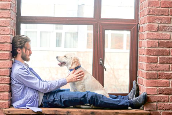 Der-geteilte-Hund-Wer-darf-ihn-behalten-