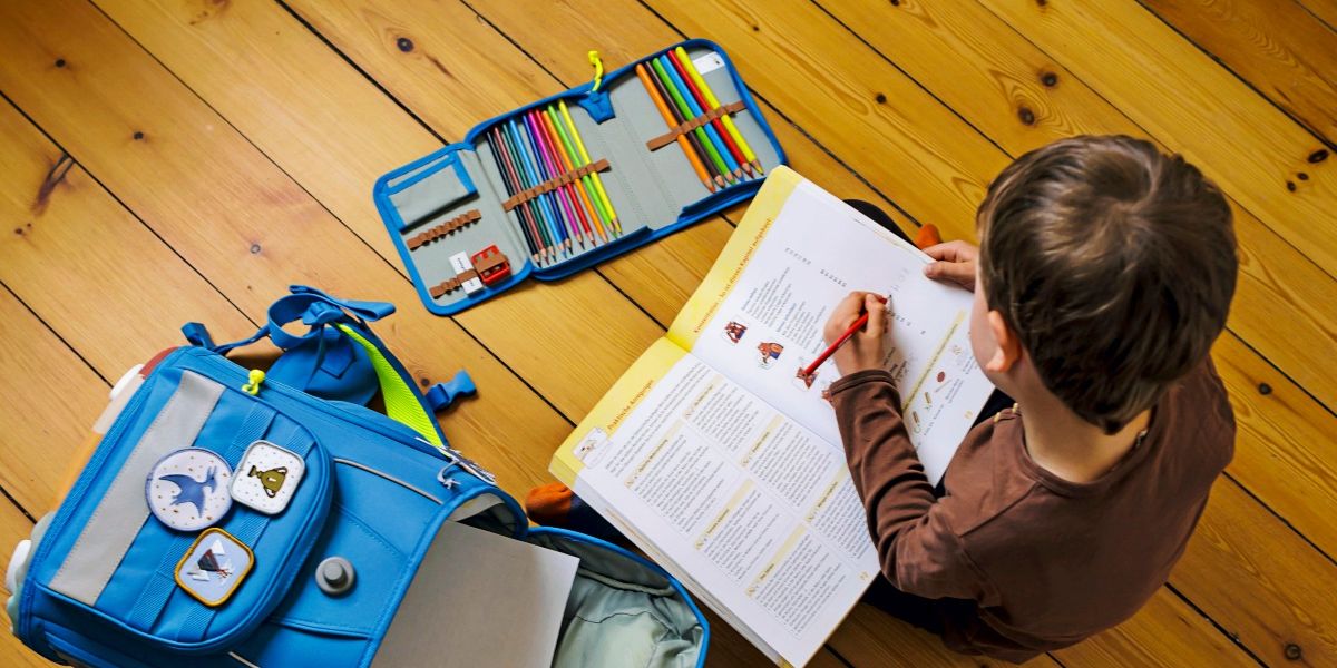 Photo: Der Standard 50,000 Lower Austria Students Needed Tutoring Last School Year
