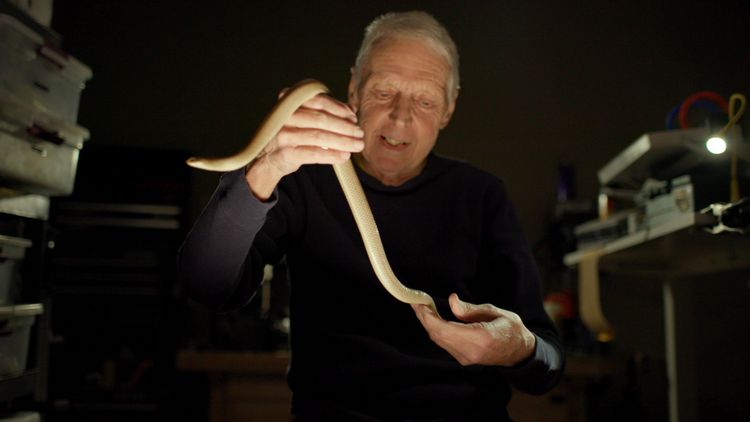 Hank Molt mit einer Schlange