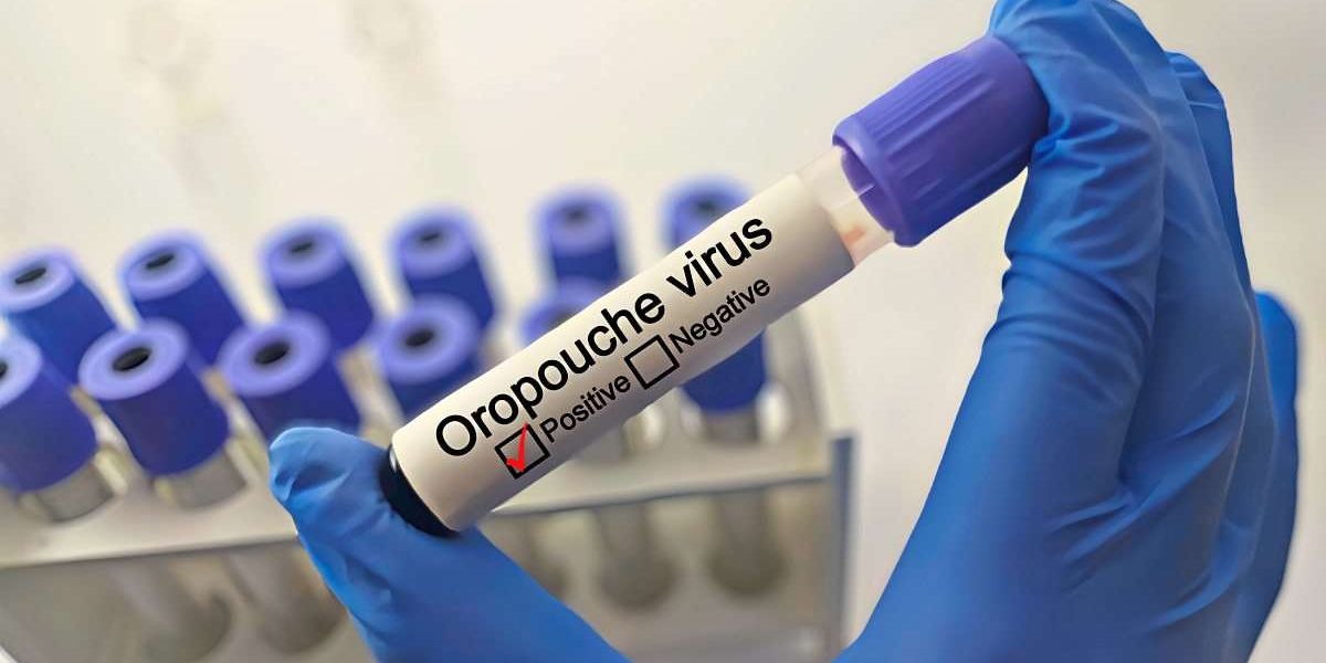 Vorsicht bei Fernreisen: Oropouche-Virus in Südamerika weit verbreitet