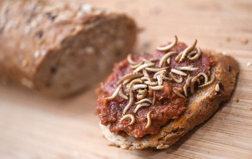 Foto: APA/HELMUT FOHRINGER